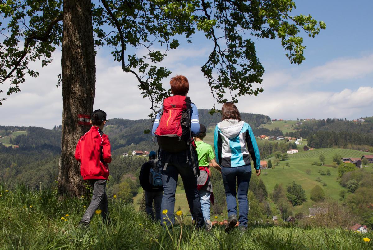 Wandern in Ligist Wandern in Ligist
